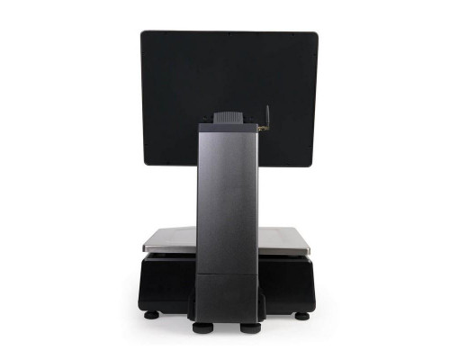 Купить Весы с печатью этикеток Mertech M-ER 727 PM-32.5 (15", VISION-AI, USB/Ethernet/WiFi) от Mertech