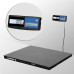 Купить Весы платформенные Масса-К 4D-PM-12/10-1500-A(RUEW) от Масса-К