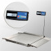 Купить Весы платформенные с пандусом Масса-К 4D-LA.S-10/10-500-A(RUEW) от Масса-К