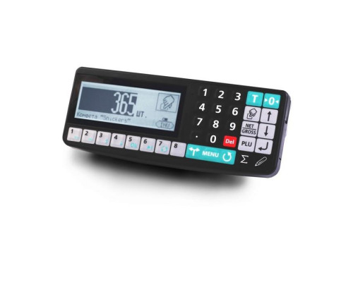 Купить Весы напольные Масса-К TB-S-200.2-RA2 от Масса-К